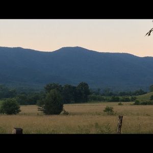 Meet your Posher, Andy